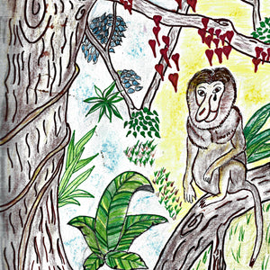 Steve the Big Nose Monkey - ImagineWe Publishers